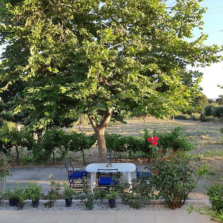 Swan House Panoramic View - Near The Sea Villa Zipárion Exteriör bild