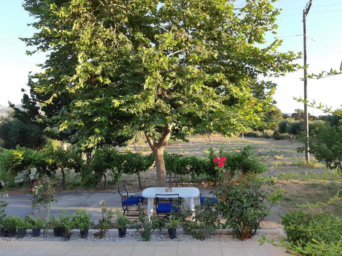 Swan House Panoramic View - Near The Sea Villa Zipárion Exteriör bild